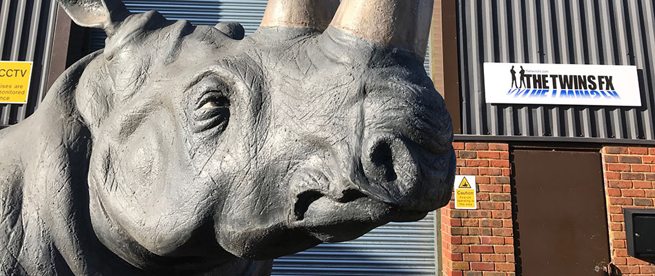 Rhinos