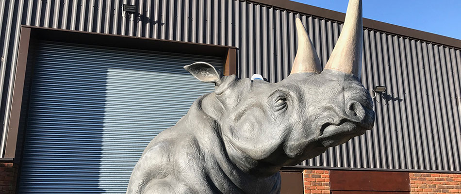 Rhinos
