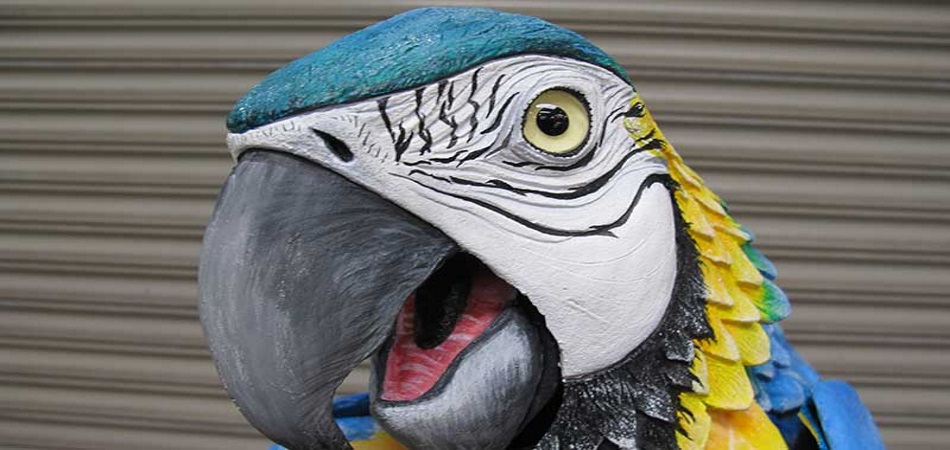 The Birds
