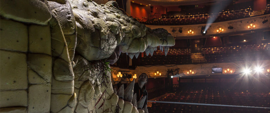 The Croc