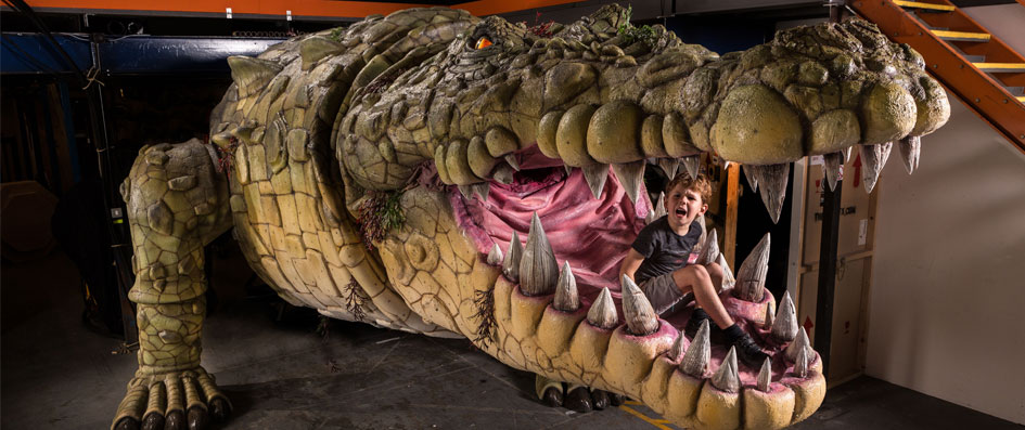 The Croc