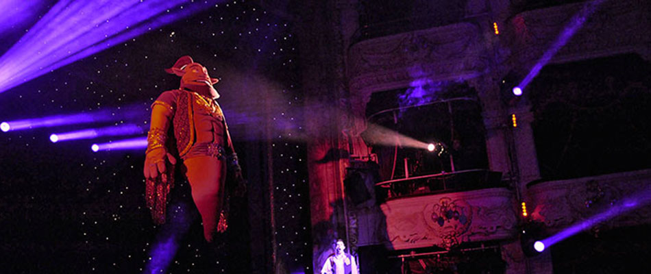 The Genie