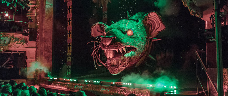 The Rat