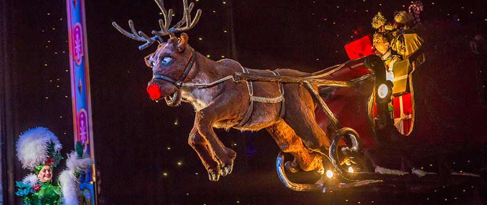 The Reindeer & Sleigh
